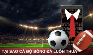 Cá cược ở nhà cái không uy tín