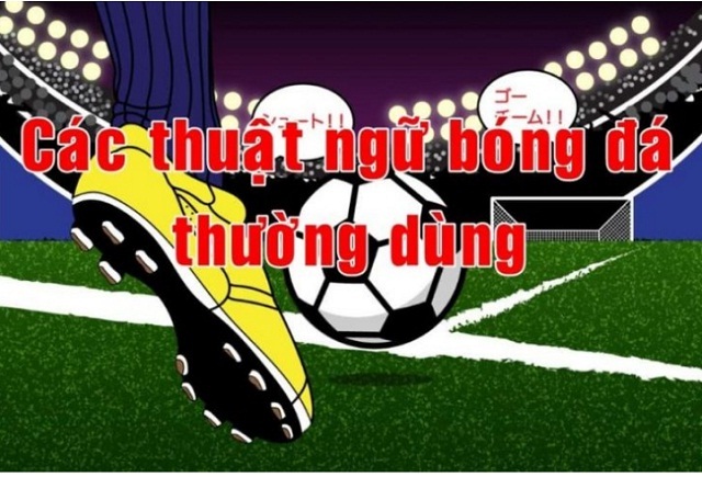 Các thuật ngữ trong cá độ bóng đá thường dùng nhất Các thuật ngữ trong cá độ bóng đá thường dùng nhất