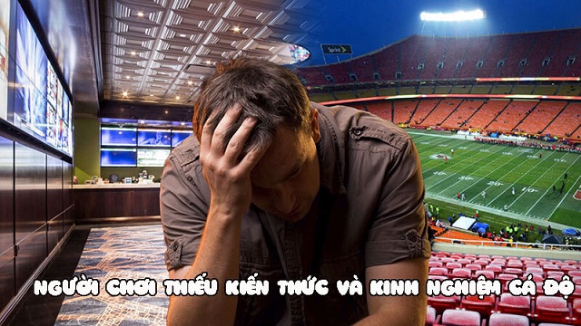 Chưa hiểu về cá độ bóng đá là lý do tại sao cá độ bóng đá luôn thua Chưa hiểu về cá độ bóng đá là lý do tại sao cá độ bóng đá luôn thua