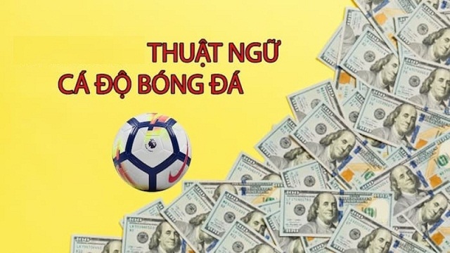 Khái niệm thuật ngữ cá độ bóng đá Khái niệm thuật ngữ cá độ bóng đá