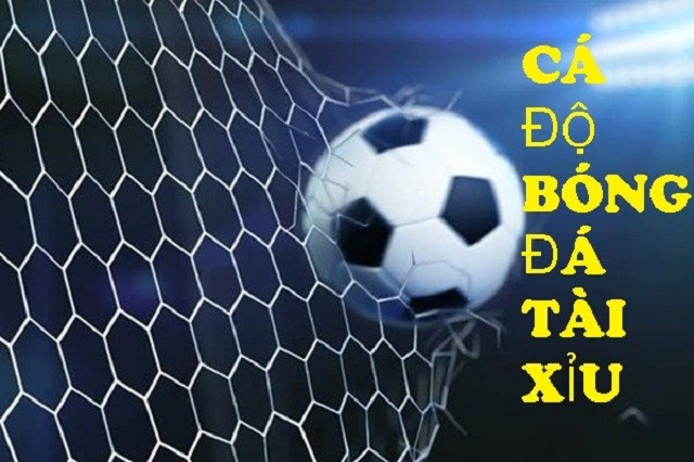 Soi kèo tài xỉu 3 ½ trái dựa vào thông tin trận đấu Soi kèo tài xỉu 3 ½ trái dựa vào thông tin trận đấu