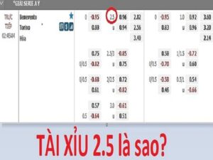 Tài xỉu 2.5 có nhiều tên gọi khác nhau