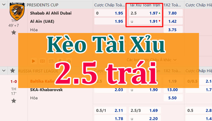 tài xỉu 2.5 là gì