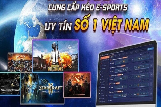 Tiêu chí lựa chọn cổng game cá cược Esport như thế nào? Tiêu chí lựa chọn cổng game cá cược Esport như thế nào?