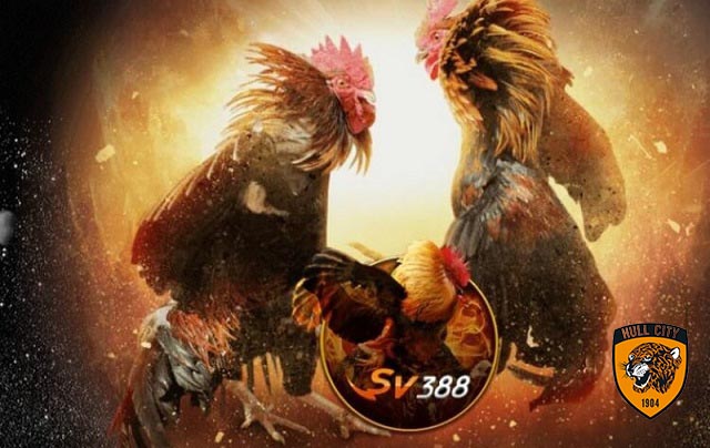 tải trang đá gà trực tiếp