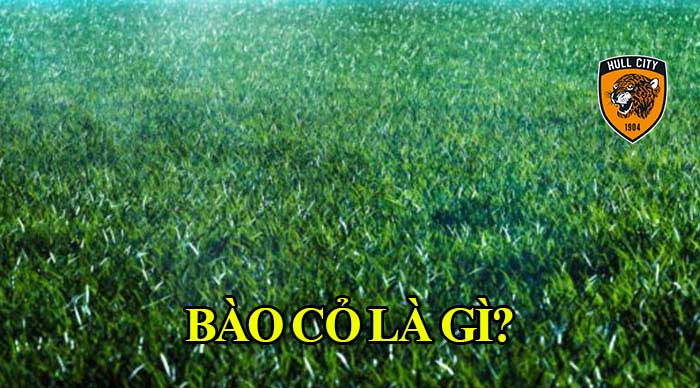 Bào cỏ là gì