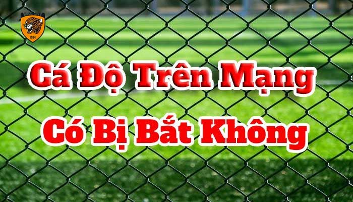 cá độ bóng đá qua mạng có an toàn không