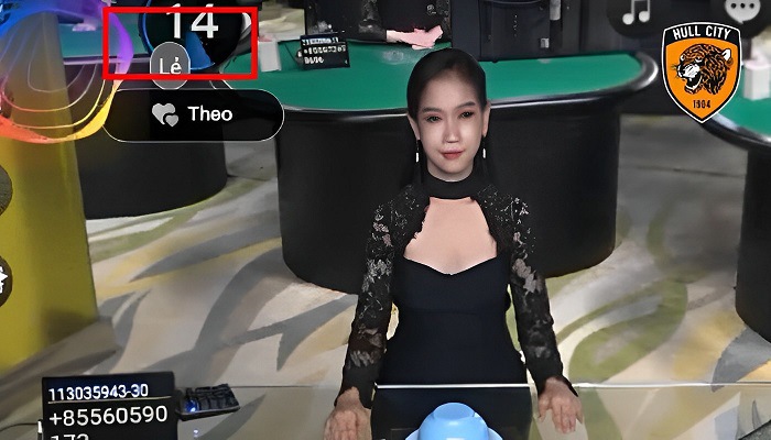 cách bắt cầu xóc đĩa