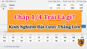 chấp 1/4 trái là sao