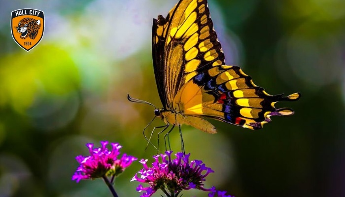 dấu hiệu sắp trúng số độc đắc