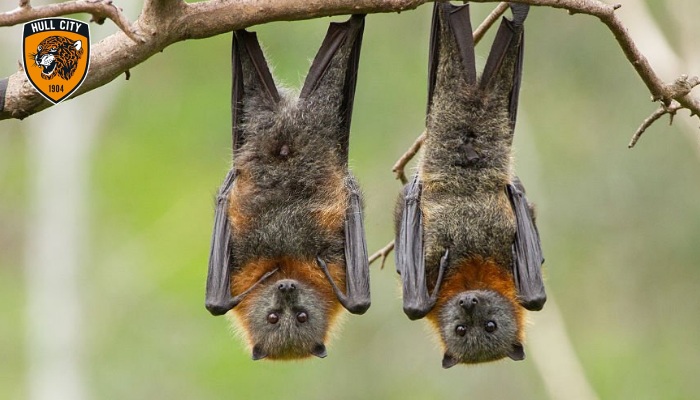 dấu hiệu trúng độc đắc