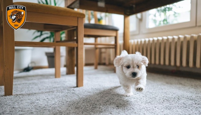 dấu hiệu trúng số đặc biệt