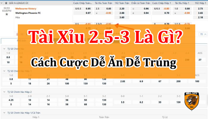 tài xỉu 2.5--3