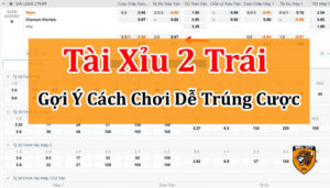 tài xỉu 2 trái là sao