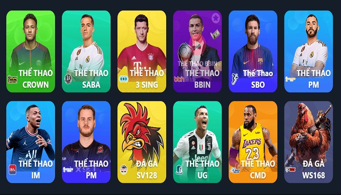 Nhà cái bet esport nhiều người chơi