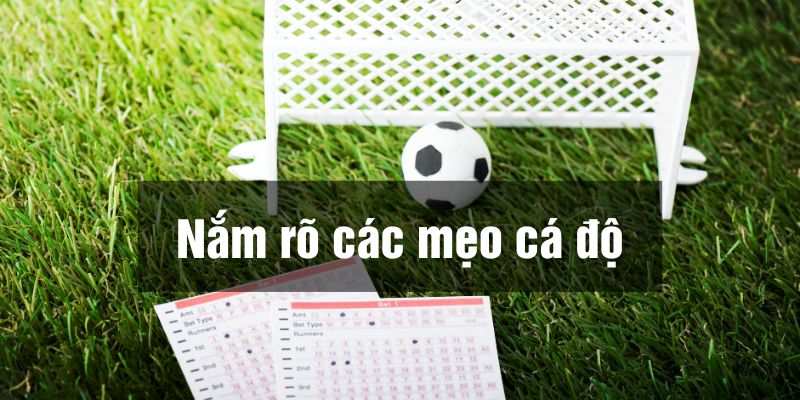 cách chơi cá độ bóng đá luôn thắng