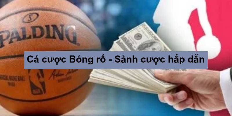 cá cược bóng rổ