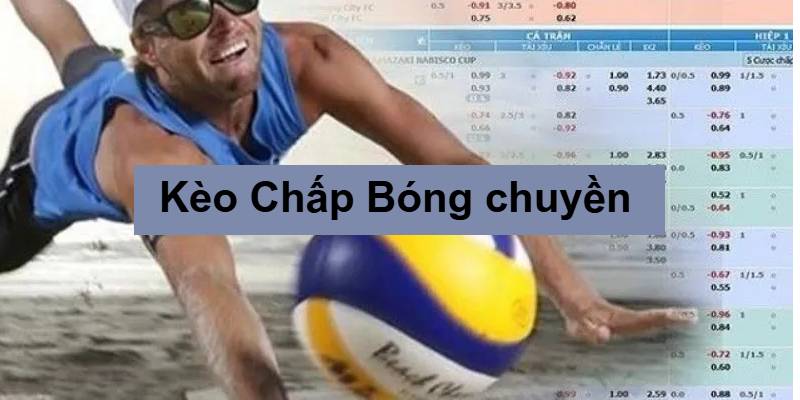 cá độ bóng chuyền