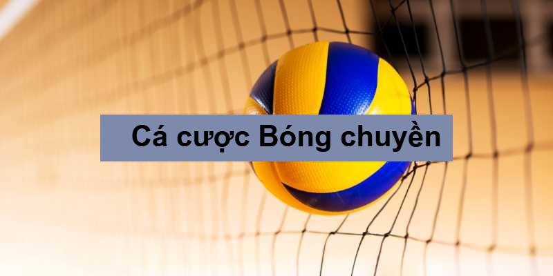 cách cá cược bóng chuyền