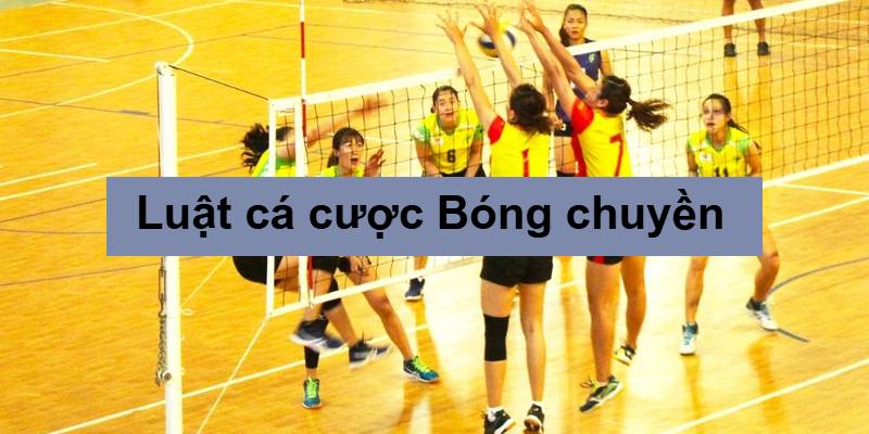 luật cá độ bóng chuyền